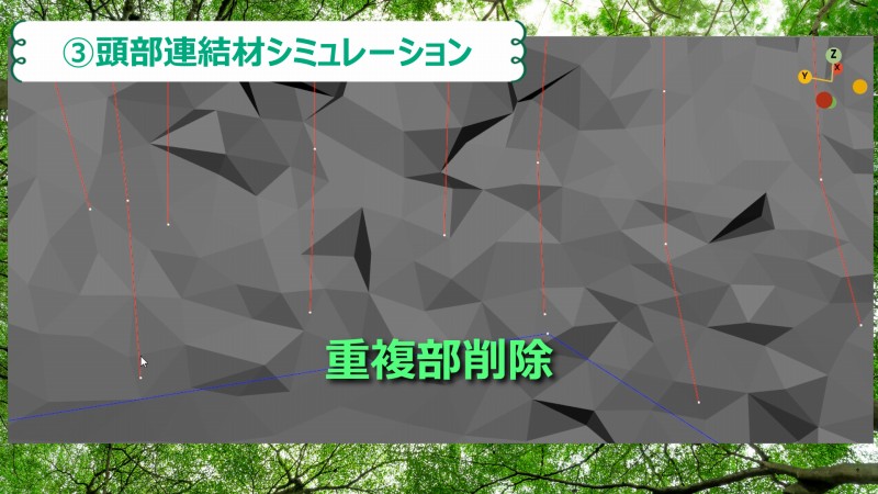 頭部連結材シミュレーション　重複　削除