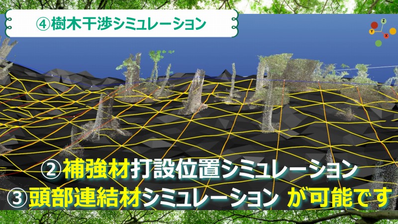 樹木干渉シミュレーション　補強材　頭部連結材