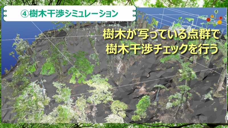 樹木干渉シミュレーション　チェック